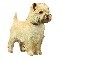  - BELGIAN TOP TERRIER 2017